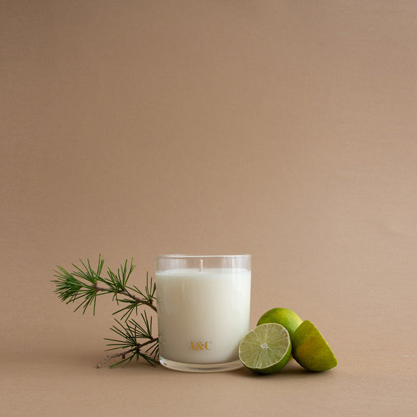 A&C Willow Soy Candle