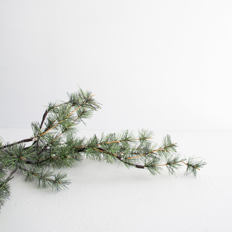 Frosted Pine Branch with Lights