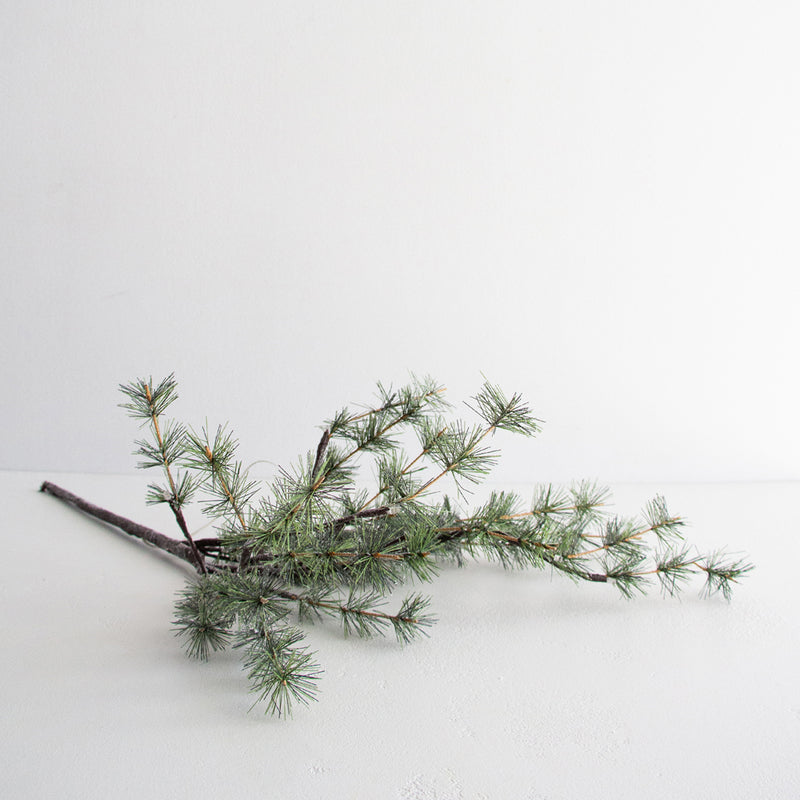 Frosted Pine Branch with Lights